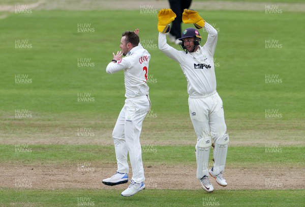 130424 - Glamorgan v Derbyshire - Vitality County Championship, Division Two - Mason Crane of Glamorgan celebrates taking the wicket of David Lloyd of Derbyshire