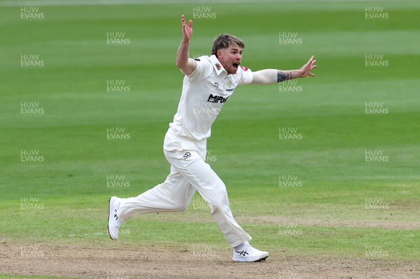 130424 - Glamorgan v Derbyshire - Vitality County Championship, Division Two - Dan Douthwaite of Glamorgan appeals for a wicket