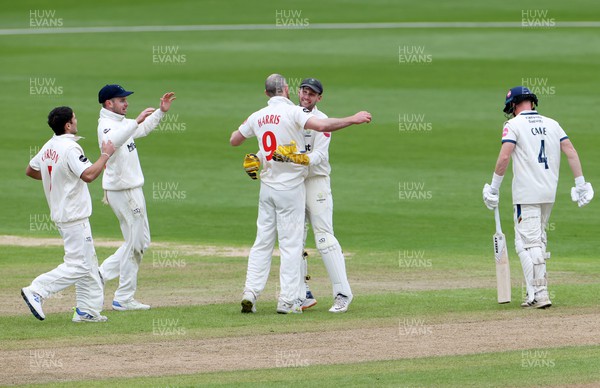130424 - Glamorgan v Derbyshire - Vitality County Championship, Division Two - James Harris of Glamorgan celebrates after bowling out Harry Came for LBW