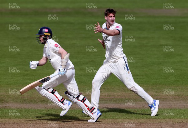 140424 - Glamorgan v Derbyshire - Vitality County Championship, Division Two - Blair Tickner of Derbyshire appeals for the wicket of Mason Crane of Glamorgan