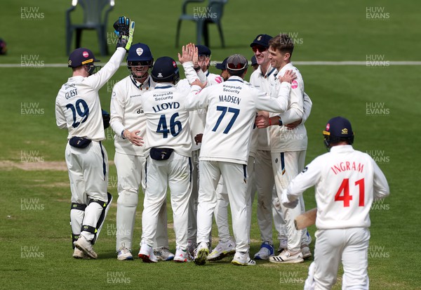 140424 - Glamorgan v Derbyshire - Vitality County Championship, Division Two - Derbyshire celebrate after Colin Ingram of Glamorgan was run out by Sam Conners