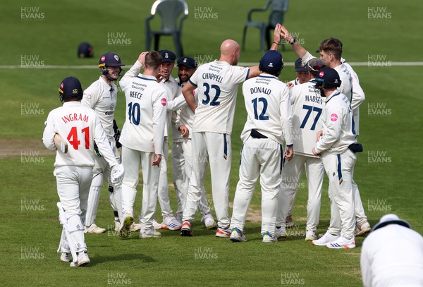 140424 - Glamorgan v Derbyshire - Vitality County Championship, Division Two - Derbyshire celebrate after Colin Ingram of Glamorgan was run out by Sam Conners