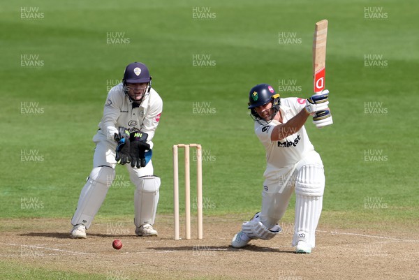140424 - Glamorgan v Derbyshire - Vitality County Championship, Division Two - Chris Cooke of Glamorgan batting