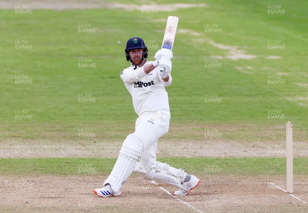 140424 - Glamorgan v Derbyshire - Vitality County Championship, Division Two - James Harris of Glamorgan batting