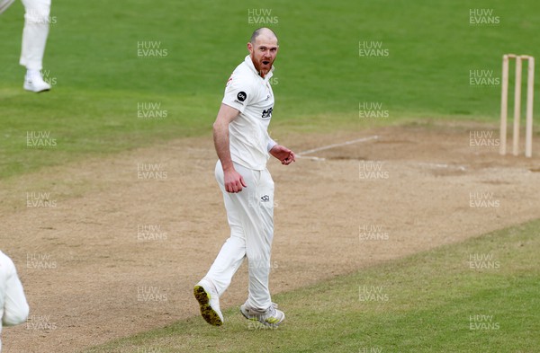 140424 - Glamorgan v Derbyshire - Vitality County Championship, Division Two - James Harris of Glamorgan celebrates taking the wicket of Harry Came for LBW
