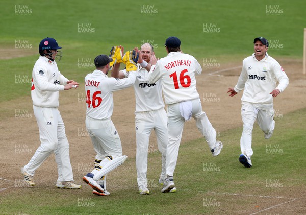 140424 - Glamorgan v Derbyshire - Vitality County Championship, Division Two - James Harris of Glamorgan celebrates taking the wicket of Harry Came for LBW