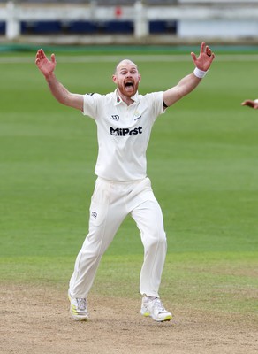 150424 - Glamorgan v Derbyshire - Vitality County Championship, Division Two - James Harris of Glamorgan celebrates taking the wicket of Wayne Madsen of Derbyshire