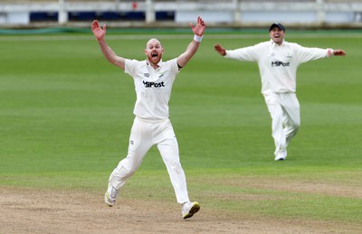 150424 - Glamorgan v Derbyshire - Vitality County Championship, Division Two - James Harris of Glamorgan celebrates taking the wicket of Wayne Madsen of Derbyshire