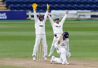 150424 - Glamorgan v Derbyshire - Vitality County Championship, Division Two - Chris Cooke and Billy Root of Glamorgan appeal for the wicket of Brooke Guest of Derbyshire