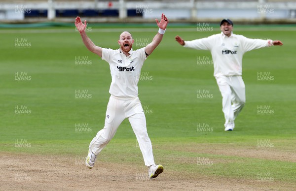 150424 - Glamorgan v Derbyshire - Vitality County Championship, Division Two - James Harris of Glamorgan celebrates taking the wicket of Wayne Madsen of Derbyshire