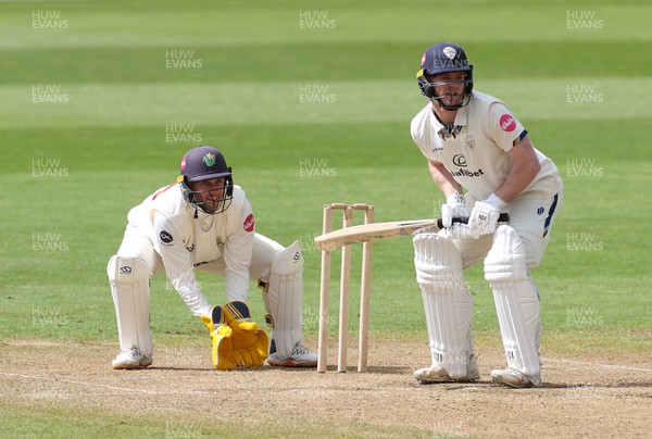 150424 - Glamorgan v Derbyshire - Vitality County Championship, Division Two - Chris Cooke of Glamorgan and Luis Reece of Derbyshire batting