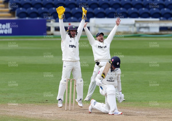 150424 - Glamorgan v Derbyshire - Vitality County Championship, Division Two - Chris Cooke and Billy Root of Glamorgan appeal for the wicket of Brooke Guest of Derbyshire