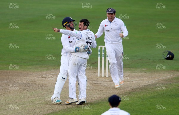 290617 - Glamorgan v Derbyshire - Specsavers County Championship Division Two - Wayne Madsen of Derbyshire celebrates with team mates after Aneurin Donald is caught by Hughes