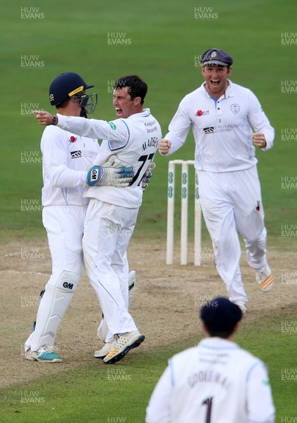 290617 - Glamorgan v Derbyshire - Specsavers County Championship Division Two - Wayne Madsen of Derbyshire celebrates with team mates after Aneurin Donald is caught by Hughes