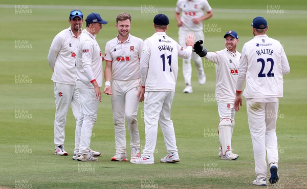 010921 - Glamorgan v Essex - LV= County Championship - Sam Cook of Essex celebrates the wicket of Timm Van Der Gugten of Glamorgan with team mates