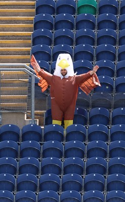 070826 - Glamorgan v Essex, Metro Bank One Day Cup - A fan dressed an eagle makes his way through the stands at Sophia Gardens