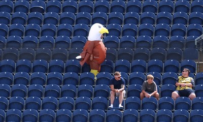 070826 - Glamorgan v Essex, Metro Bank One Day Cup - A fan dressed an eagle makes his way through the stands at Sophia Gardens