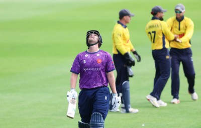 070826 - Glamorgan v Essex, Metro Bank One Day Cup - Matt Critchley of Essex reacts after he is run out by Zain ul Hassan of Glamorgan