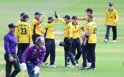 070826 - Glamorgan v Essex, Metro Bank One Day Cup - Glamorgan celebrate after Timm van der Gugten of Glamorgan catches Luc Benkenstein of Essex off the bowling of Dan Douthwaite of Glamorgan for 140