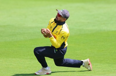 070826 - Glamorgan v Essex, Metro Bank One Day Cup - Zain ul Hassan of Glamorgan catches Simon Harmer of Essex off the bowling of Connor O'Riordan of Glamorgan