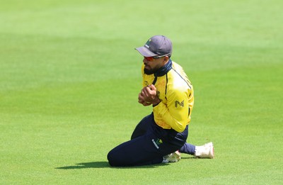 070826 - Glamorgan v Essex, Metro Bank One Day Cup - Zain ul Hassan of Glamorgan catches Simon Harmer of Essex off the bowling of Connor O'Riordan of Glamorgan