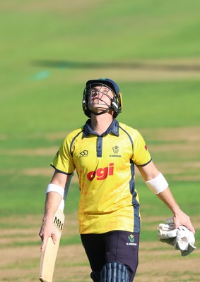 070826 - Glamorgan v Essex, Metro Bank One Day Cup - Alex Horton of Glamorgan reacts after he is dismissed, caught by Charlie Bennett of Essex off the bowling of Shane Snater of Essex