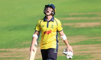 070826 - Glamorgan v Essex, Metro Bank One Day Cup - Alex Horton of Glamorgan reacts after he is dismissed, caught by Charlie Bennett of Essex off the bowling of Shane Snater of Essex