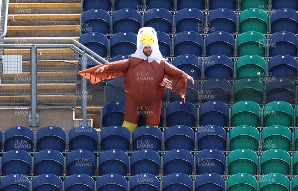 070826 - Glamorgan v Essex, Metro Bank One Day Cup - A fan dressed an eagle makes his way through the stands at Sophia Gardens