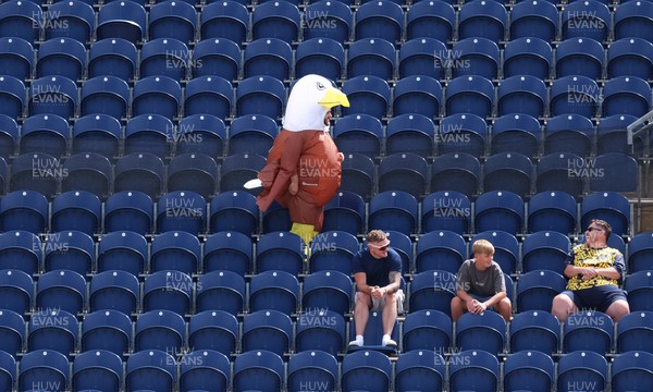 070826 - Glamorgan v Essex, Metro Bank One Day Cup - A fan dressed an eagle makes his way through the stands at Sophia Gardens