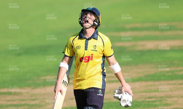 070826 - Glamorgan v Essex, Metro Bank One Day Cup - Alex Horton of Glamorgan reacts after he is dismissed, caught by Charlie Bennett of Essex off the bowling of Shane Snater of Essex