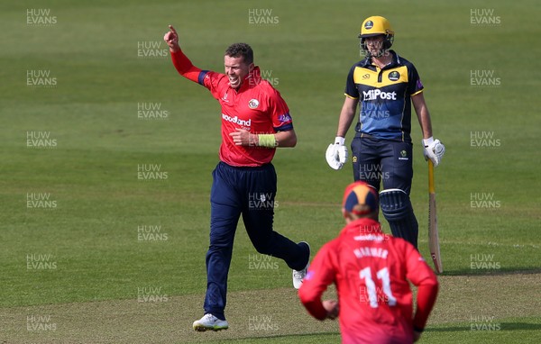 170419 - Glamorgan Cricket v Essex - Royal London One-Day Cup - Peter Siddle of Essex celebrates taking the wicket of David Lloyd of Glamorgan