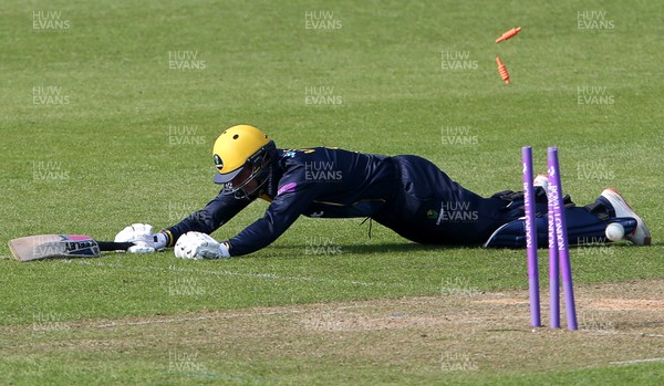 170419 - Glamorgan Cricket v Essex - Royal London One-Day Cup - Graham Wagg of Glamorgan is run out by Ryan ten Doeschate of Essex