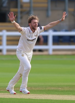 240926 Glamorgan v Essex, Rothesay County Championship Division 1 - Sam Cook of Essex makes on appeal for the wicket of Zain ul Hassan of Glamorgan