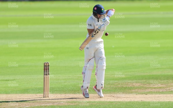 240926 Glamorgan v Essex, Rothesay County Championship Division 1 - Asa Tribe of Glamorgan plays a shot