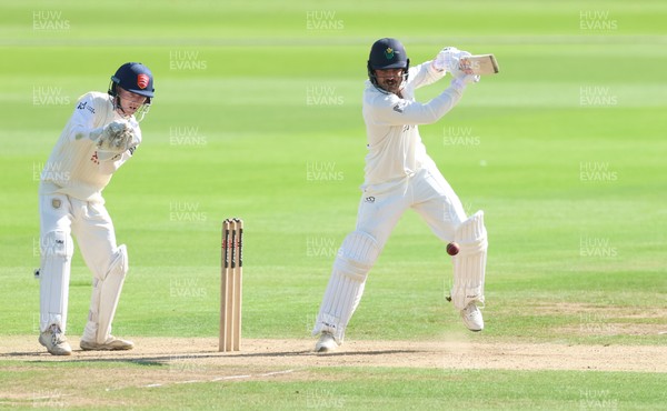 240926 Glamorgan v Essex, Rothesay County Championship Division 1 - Kiran Carlson of Glamorgan plays a shot