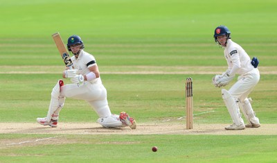250926 Glamorgan v Essex, Rothesay County Championship Division 1 - Asa Tribe of Glamorgan plays a shot