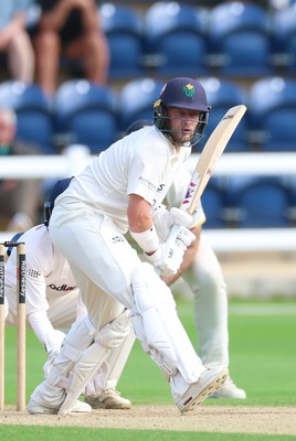 250926 Glamorgan v Essex, Rothesay County Championship Division 1 - Billy Root of Glamorgan plays a shot