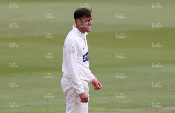 310821 - Glamorgan v Essex - LV= County Championship - Steven Reingold of Glamorgan celebrates after Nick Browne is caught by Dan Douthwaite of Glamorgan