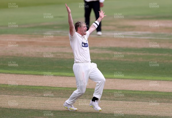 310821 - Glamorgan v Essex - LV= County Championship - Dan Douthwaite of Glamorgan successfully appeals for the wicket of Josh Rymell of Essex