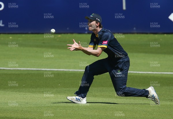 130621 - Glamorgan v Essex Eagles, Vitality Blast - Nick Selman of Glamorgan catches Will Buttleman of Essex Eagles off the bowling of Andrew Salter of Glamorgan