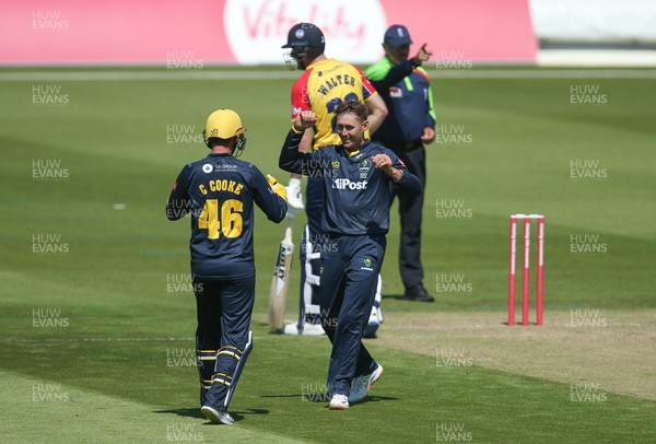 130621 - Glamorgan v Essex Eagles, Vitality Blast - Marnus Labuschagne of Glamorgan celebrates with Chris Cooke of Glamorgan after taking the wicket of Michael Pepper of Essex Eagles