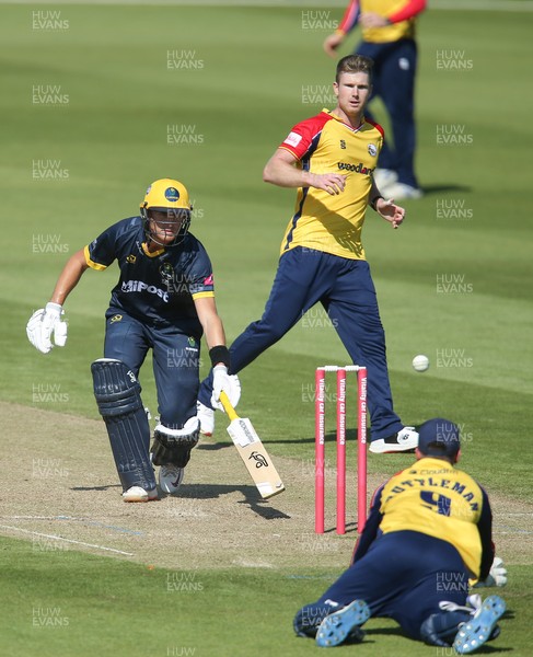 130621 - Glamorgan v Essex Eagles, Vitality Blast - Marnus Labuschagne of Glamorgan makes the wicket as Will Buttleman of Essex Eagles looks to run him out