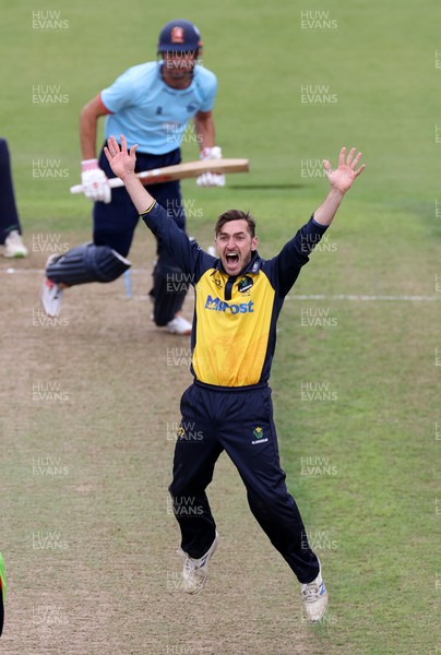 160821 - Glamorgan v Essex Eagles - Royal London One-Day Cup - Andrew Salter of Glamorgan appeals for the wicket of Alastair Cook