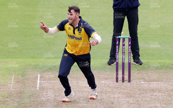 160821 - Glamorgan v Essex Eagles - Royal London One-Day Cup - Steven Reingold of Glamorgan celebrates after Alastair Cook is stumped by Tom Cullen