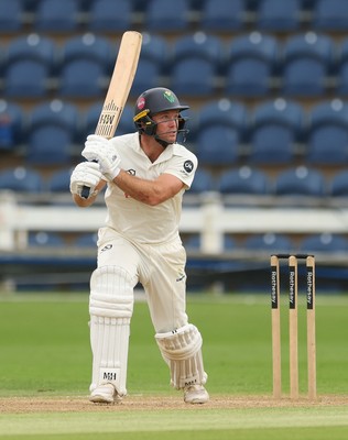 010725  Glamorgan v Gloucestershire, Rothesay County Championship Division 2 - Colin Ingram of Glamorgan  plays a shot