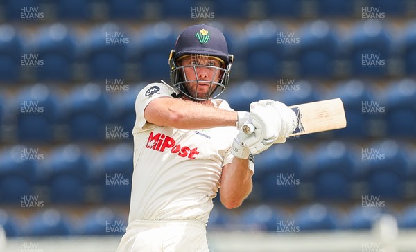 010725  Glamorgan v Gloucestershire, Rothesay County Championship Division 2 - Chris Cooke of Glamorgan plays a shot