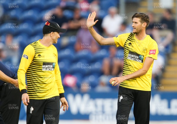 010819 - Glamorgan v Gloucestershire, Vitality Blast 2019 - David Payne of Gloucestershire celebrates after running out Billy Root of Glamorgan