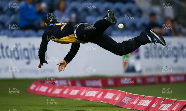 010819 - Glamorgan v Gloucestershire, Vitality Blast 2019 - Billy Root of Glamorgan dives in vain as he attempts to catch the ball on the boundary