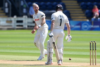 020725 - Glamorgan v Gloucestershire - Rothesay County Championship - James Harris of Glamorgan celebrates after taking the wicket of Cameron Bancroft of Gloucestershire