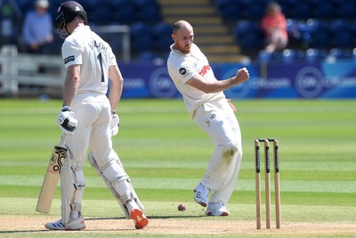 020725 - Glamorgan v Gloucestershire - Rothesay County Championship - James Harris of Glamorgan celebrates after taking the wicket of Cameron Bancroft of Gloucestershire